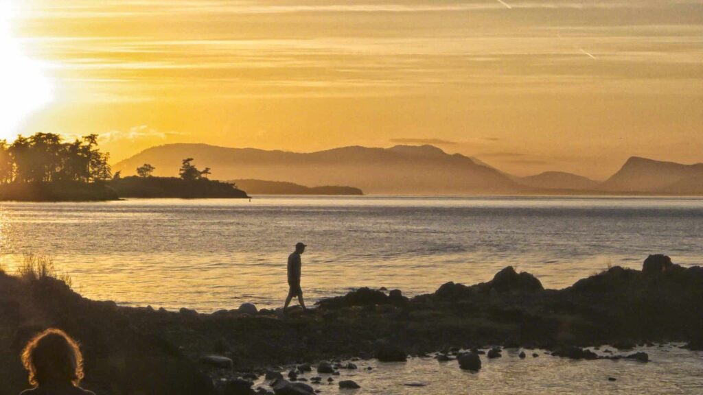 A person walking along a rocky shore during sunset with a golden sky and silhouetted trees and mountains in the background
