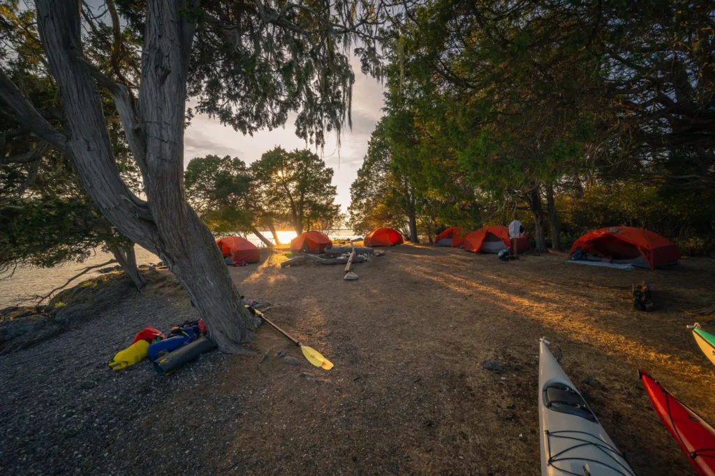 A campsite by the water with multiple red tents set up among trees kayaks and paddles scattered around and the sun setting in the background