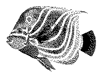 A black and white dotted illustration of a fish with striped patterns and a distinct fin shape